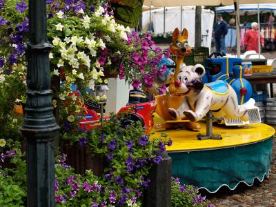 Flowers & Merry-go-round