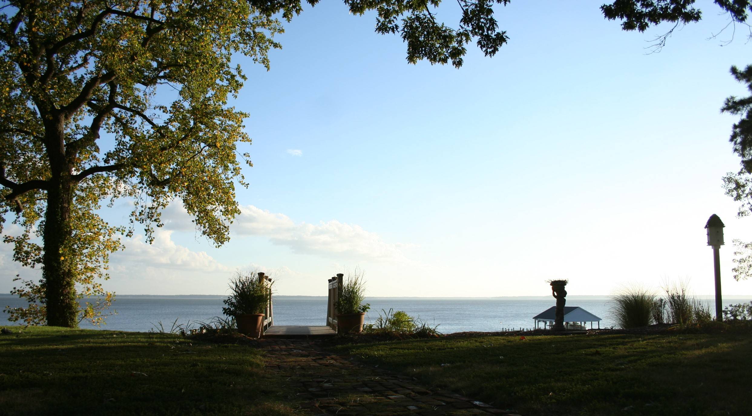 The river view