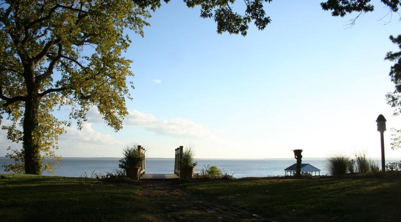 The river view