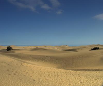 Sand dunes at Maspalomas