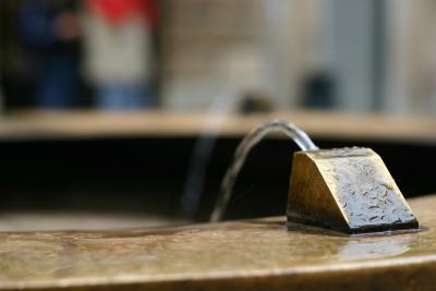 x245_4600.jpg