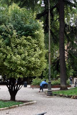 x247_4705.jpg