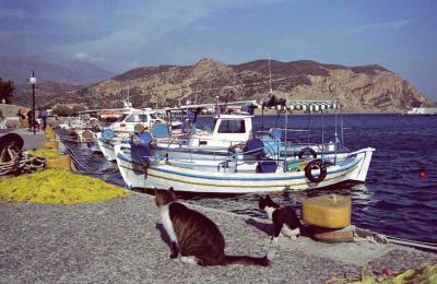 Agia Galini harbour