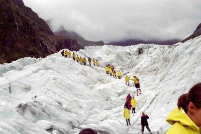 Fox glacier