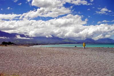 Kaikoura - beach