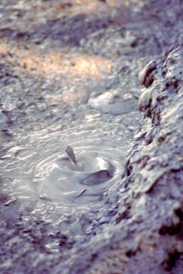 Wai-O-Tapu mud pools