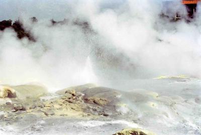 Whakarewarewa thermal area