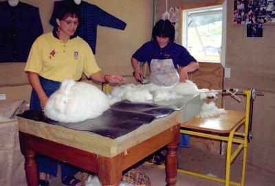 mohair rabbit shaving