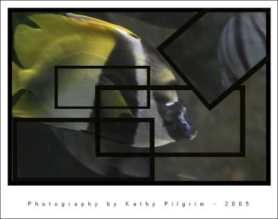 Fishy Frames.jpg