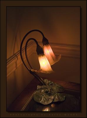 Petal Lamp.jpg