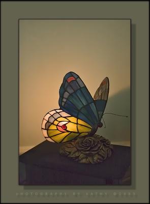 Judies Butterfly Lamp.jpg