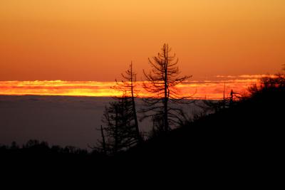 IMG_0437-3.jpg