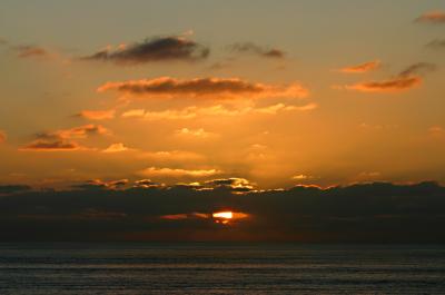IMG_4840-2.jpg