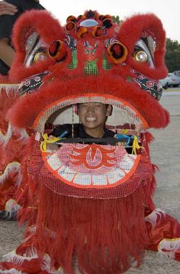 Dragon Dances