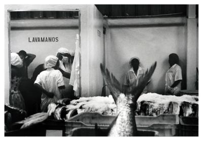 Atlanor - Procesadora de Pescado
