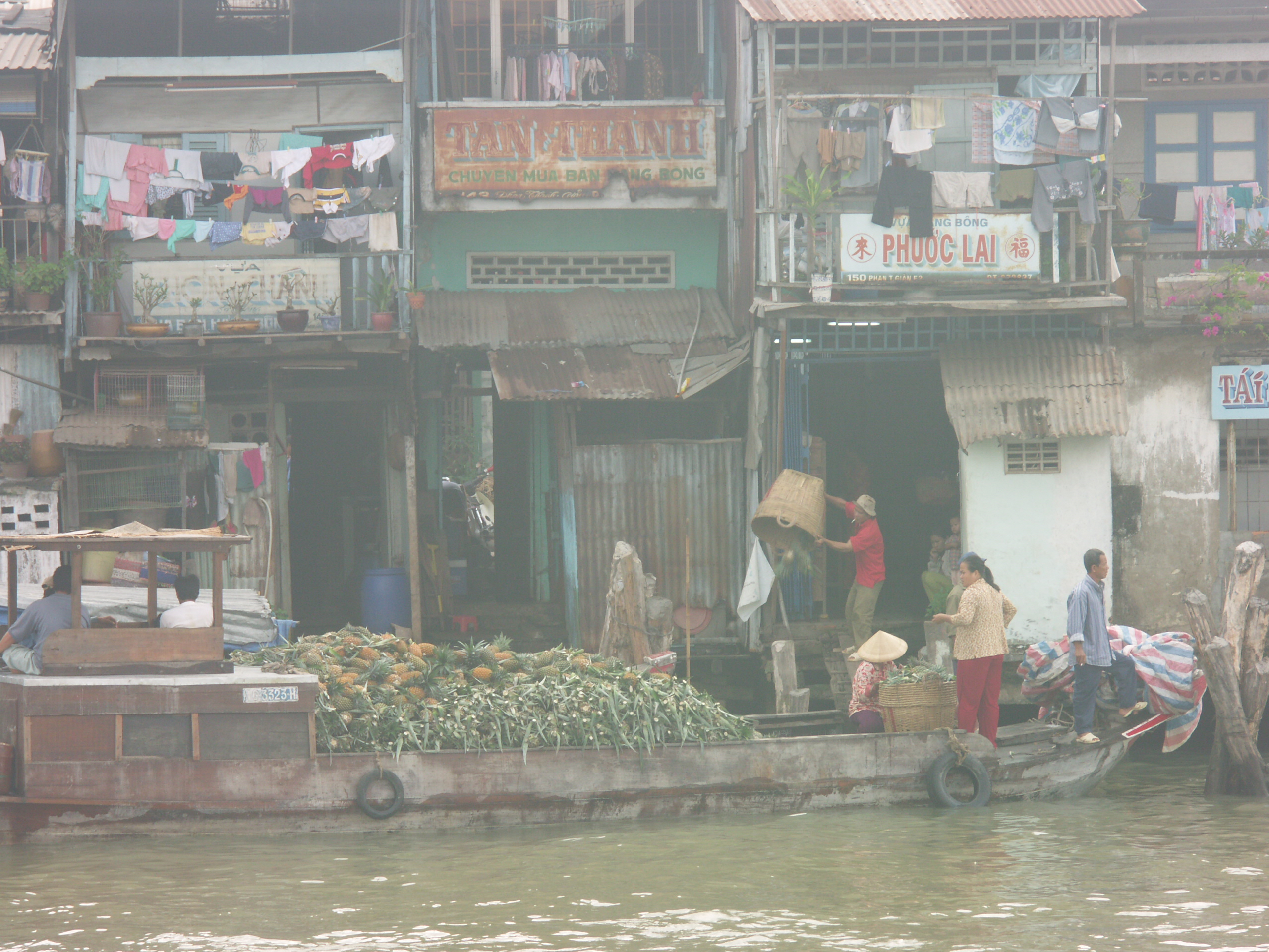 River houses in Vinh Long
