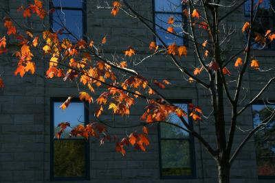 oberlin