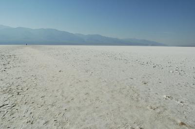 v3/10/605710/3/51282887._D2H5211.jpg