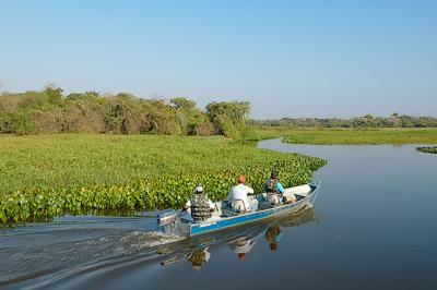 passeio de voadeira no Pantanal-MS