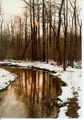 Mill Neck, NY
