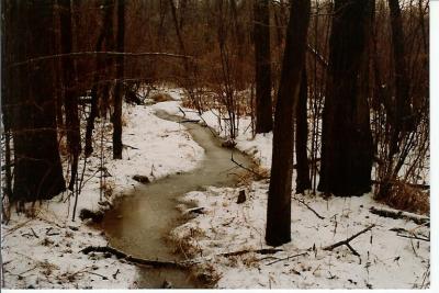 Mill Neck, NY
