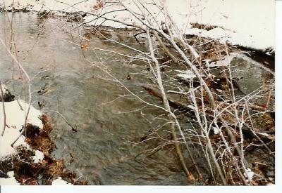 Mill Neck, NY