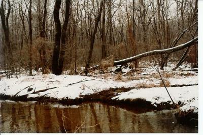 Mill Neck, NY