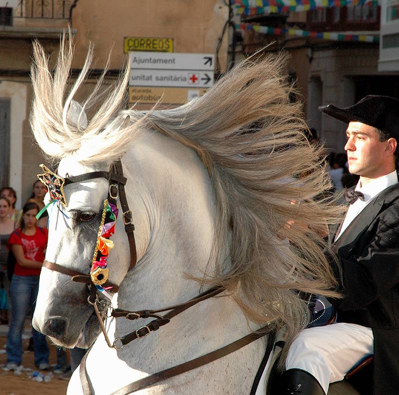 El Jaleo - Alaior 4