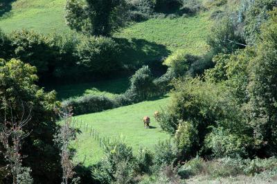 Countryside