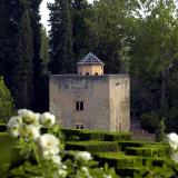 Tower from Generalife