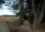 Way to a solitary beach - La Vall
