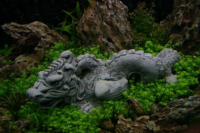 4th day after set up
