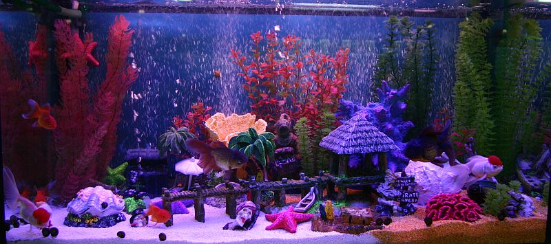300 Liter