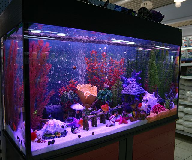 300 Liter