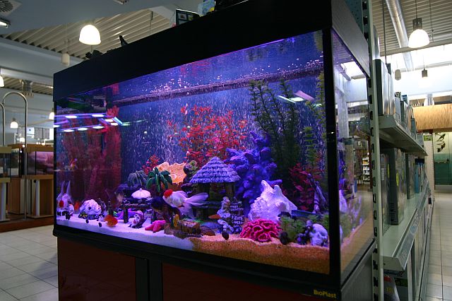 300 Liter