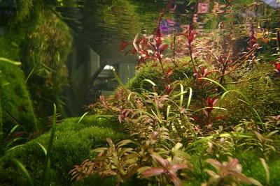 15th months after rescape - Wild Life -