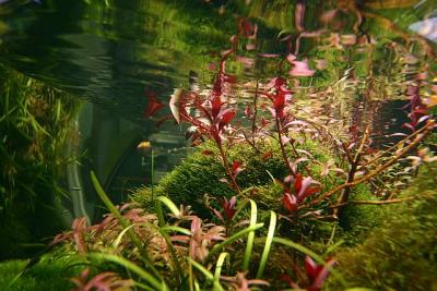 15th months after rescape - Wild Life -