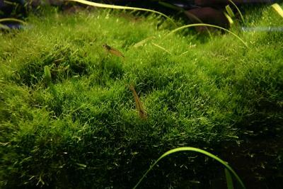 15th months after rescape - Wild Life -