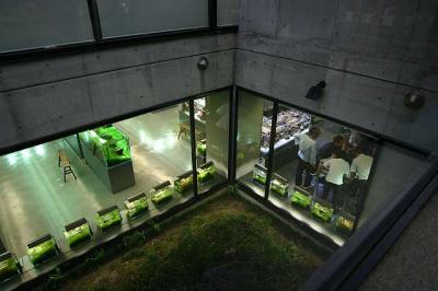 Look from Amano's office to the Nature Aquarium Gallery down stair