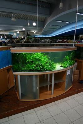 Workshop Aquarium - 2 hours after set up