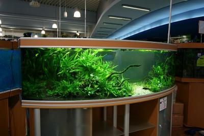 Workshop Aquarium - 2 hours after set up
