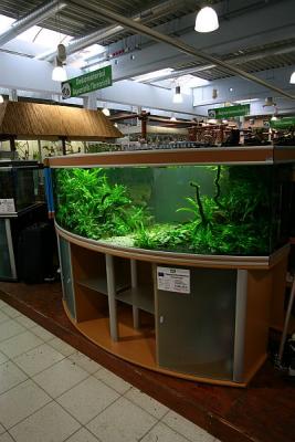Workshop Aquarium - 2 hours after set up