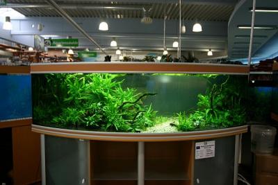 Workshop Aquarium - 2 hours after set up