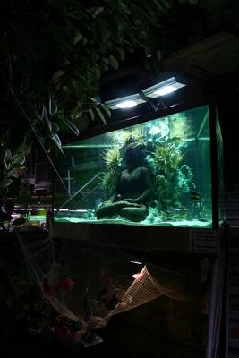 Malawi Showtank