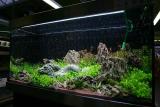 11th day after set up