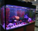300 Liter