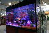 300 Liter