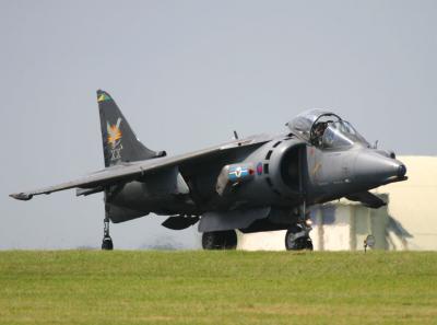 Harrier_7669.jpg