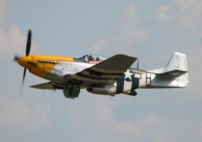 Mustang_0780.jpg