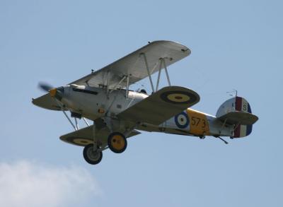 v3/11/291911/3/46312214.Nimrod_0053.jpg